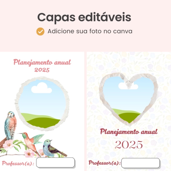 Planejamento Anual de Professores (Arquivo Digital em PDF)